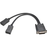 TRIPP LITE Tripp Lite DMS-59 to Dual DisplayPort Splitter Y Cable (M to 2xF) 1-ft.