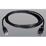 Tripp Lite USB A B Cable
