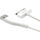 LENMAR Lenmar Apple Certified 30-pin 6ft Charge & Sync Cable - White
