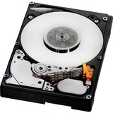 HITACHI HGST Ultrastar C10K900 600 GB Internal Hard Drive