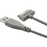 LENMAR Lenmar Apple Certified 30-pin 6ft Charge & Sync Cable - Gray
