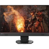 EIZO BY NANAO Eizo FORIS FS2434 24