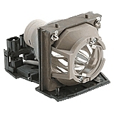 HP Replacement Lamp