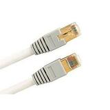 Monster Cable iCable Ethernet