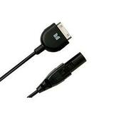 iAirPlay Charger for iPod