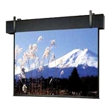 DA-LITE Da-Lite Professional Electrol Projection Screen