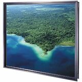Da-Lite Data Pro Rear Projection Screen