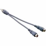 Philips Y-Audio Cable - 1 x RCA - 2 x RCA -