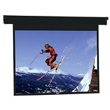 DA-LITE Da-Lite Horizon Electrol Projection Screen