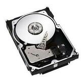 Seagate Technology ST373207LC Cheetah 10K.7 Ultra320 SCSI Hard Drive