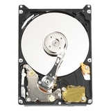 WD800BEVS-50PK - Western Digital Scorpio 80 GB 2.5" Internal Hard Drive - 50 Pack