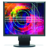 NEC Display Solutions 60001491 MultiSync LCD2170NX-BK LCD Monitor
