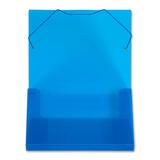 Lion Superline See-Trough Document File LIO45100BL