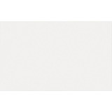 Sparco Unruled Plain Index Card SPR00580