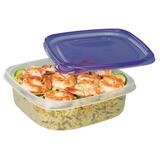 Webster Good Sense Entree Storage Containers with Lids
