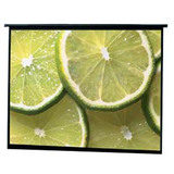 DRAPER, INC. Draper Traveller Portable Projection Screen