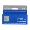 Boston Standard Staples Chisel Pt 210 Strip 5000/Box