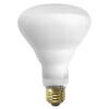 SLI Lighting Supreme Indoor Flood Lighting