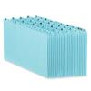 File Folder Guides