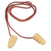 Hearing Protectors / Ear Plugs