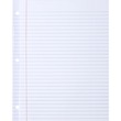 Sparco Mylar Reinforced Filler Paper - 100 Sheet - 20lb - Wide Ruled - Letter 8.5" x 11" - 100 / Pack - White