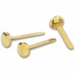 Acco Solid Brass Round Head Fasteners1.5" Length x - 0.46" Diameter - Brass - 100 / Box - Brass Acco Solid Brass Round Head Fasteners1.5" Length x - 0.46" Diameter - Brass - 100 / Box - Brass