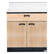 Hausmann 8728-346 Treatment Cabinet - Oak Hausmann 8728-346 Treatment Cabinet - Oak