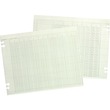 Wilson Jones Regular Ledger Sheets - 9.25" x 11.88" Sheet Size - White - 100 / Pack Wilson Jones Regular Ledger Sheets - 9.25" x 11.88" Sheet Size - White - 100 / Pack