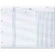Wilson Jones Balance Ledger Columnar Sheet - 7.5" x 10.37" Sheet Size - White - 100 / Pack Wilson Jones Balance Ledger Columnar Sheet - 7.5" x 10.37" Sheet Size - White - 100 / Pack