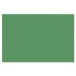 Nature Saver Smooth Texture Construction Paper - 12" x 18" - Holiday Green Nature Saver Smooth Texture Construction Paper - 12" x 18" - Holiday Green