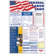 Advantus Federal Labor Law Poster - 24" Width x 36" Height - Red