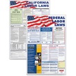 Advantus Federal and State Labor Law Poster - 24" Width x 36" Height - Assorted