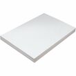 Pacon Tagboard Paper - 12" x 18" - White