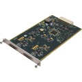 Adtran - 4200773L3 - Adtran ATLAS 800 Dual RS-449 Video Module