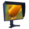 LaCie - 130737 - LaCie 321 LCD Monitor