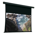 Draper Premier Electric Projection Screen
