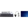 HP PS/2 Keyboard and Mouse