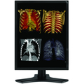 NEC Display MultiSync MD213MC  LCD Monitor
