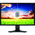 NEC Display MultiSync P221W-BK-SV Widescreen LCD Monitor