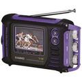 Casio 2.6 inch Handheld Color LCD TV