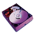Western Digital Corporation - WD3200YS - Western Digital Caviar RE Hard Drive