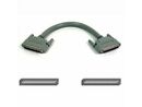 Belkin SCSI-3 Cable ( F2N991-02-T )