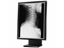 NEC Display MultiSync MD Series 21GS-2MP LCD Monitor ( MD21GS-2MP-BK-CB2 )