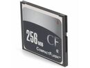 ACP Memory Upgrades Platinum Series 256MB CompactFlash Card ( MEM3800-256CF-AO )