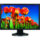 NEC Display MultiSync E222W 22" LCD Monitor - 16:10 - 5 ms
