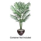 Plants & Containers
Plants & Containers