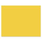 Poster Boards
Poster Boards