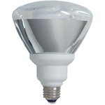 Ge 26-watt Par38 Fluorescent Lamp