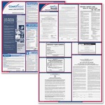 Complyright Nevada Fed/state Labor Law Kit