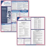 Complyright Ohio Fed/state Labor Law Kit